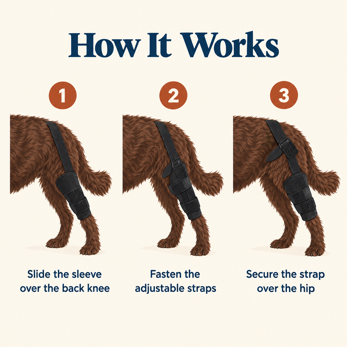 How the Wagra knee brace works in 3 steps