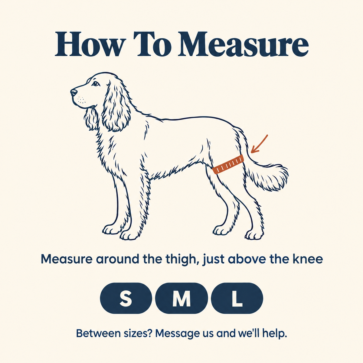 How to measure your dog for the Wagra knee brace